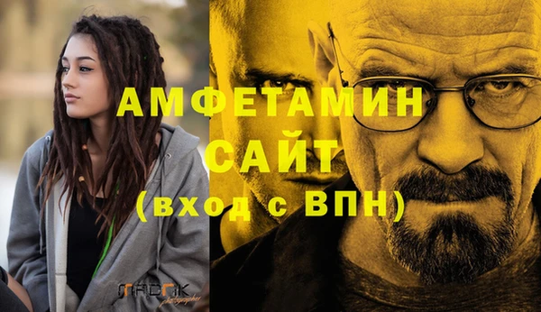 сатива Балахна