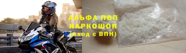 прущие грибы Протвино